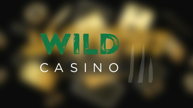 Обзор казино Wild